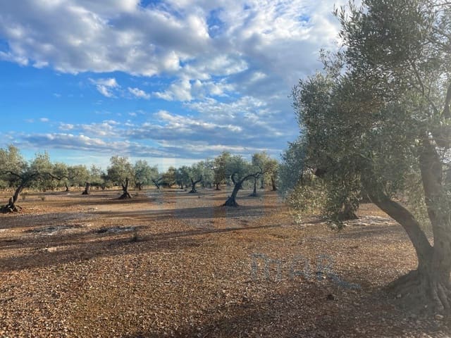 Finca/Landehus til salg i L'Ampolla - € 86.000 (Ref: 8893483)