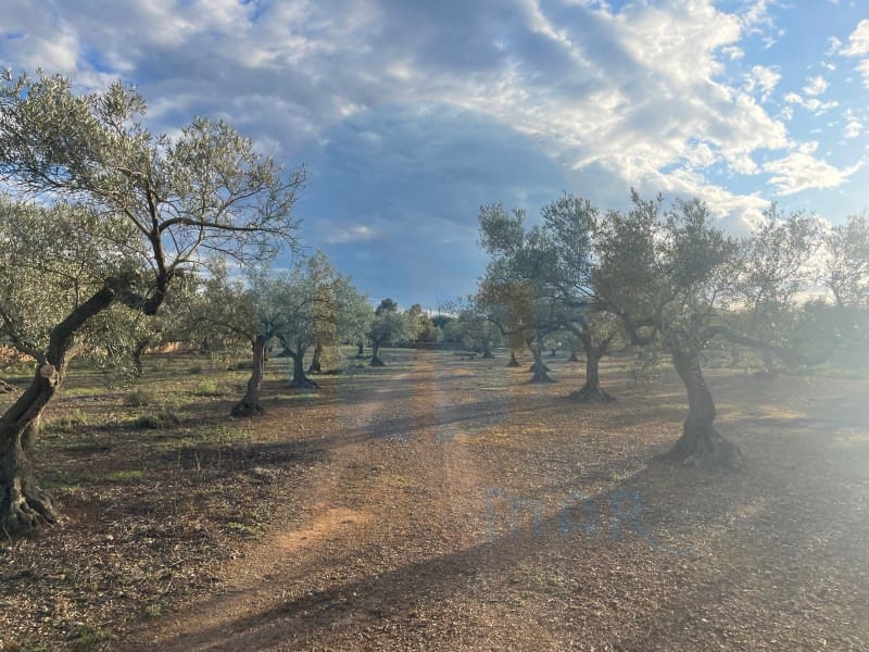 Finca/Landehus til salg i L'Ampolla - € 86.000 (Ref: 8893483)