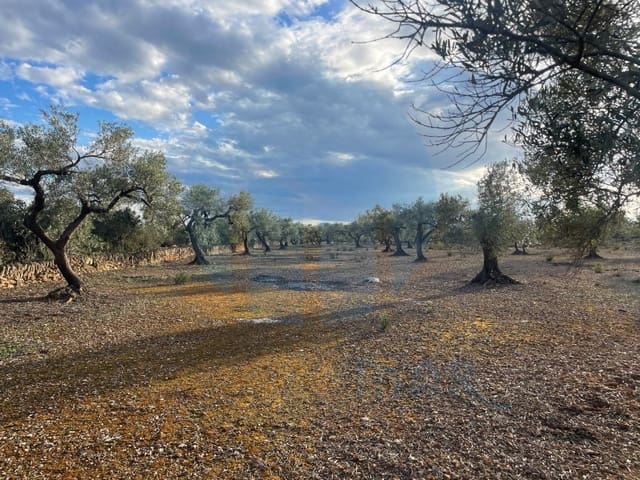 Finca/Landehus til salg i L'Ampolla - € 86.000 (Ref: 8893483)