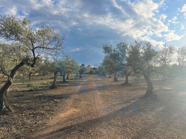 Finca/Landehus til salg i L'Ampolla - € 86.000 (Ref: 8893483)