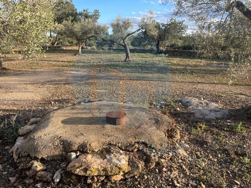 Finca/Landehus til salg i L'Ampolla - € 86.000 (Ref: 8893483)