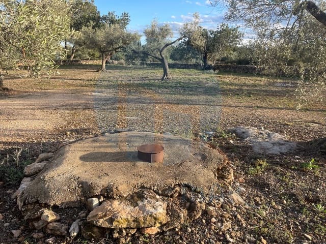 Finca/Landehus til salg i L'Ampolla - € 86.000 (Ref: 8893483)