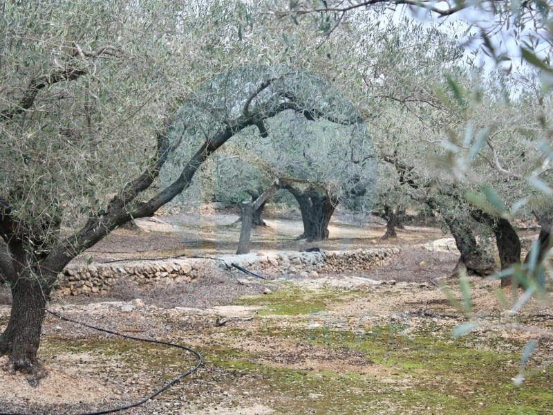 1 sypialnia Finka/Dom wiejski na sprzedaż w L'Ampolla - 86 000 € (Ref: 9145630)