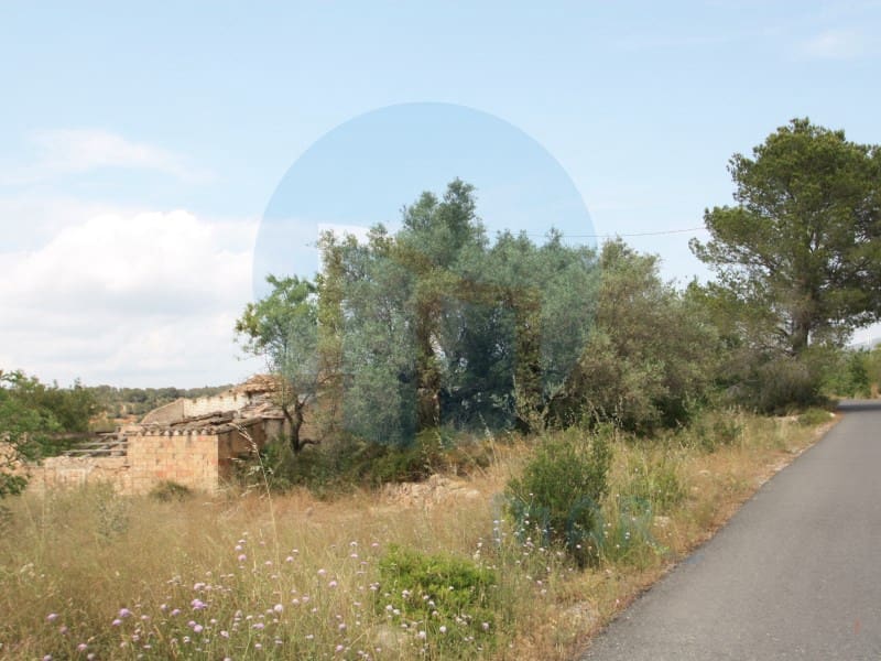 1 slaapkamer Finca/Landhuis te koop in Tortosa - € 66.100 (Ref: 9524679)