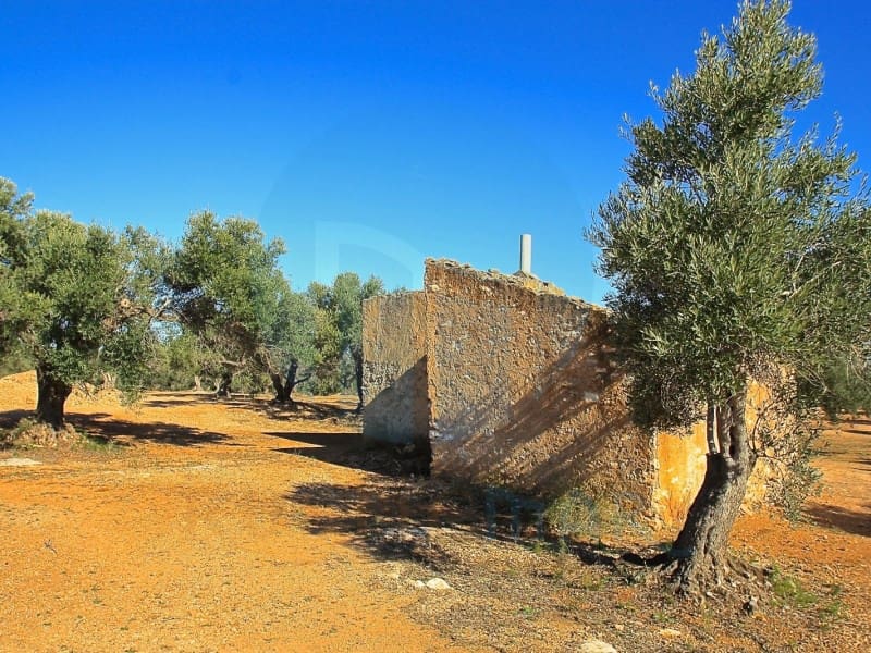 1 soveværelse Finca/Landehus til salg i L'Ampolla - € 75.000 (Ref: 9586644)