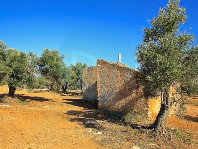 1 soveværelse Finca/Landehus til salg i L'Ampolla - € 75.000 (Ref: 9586644)