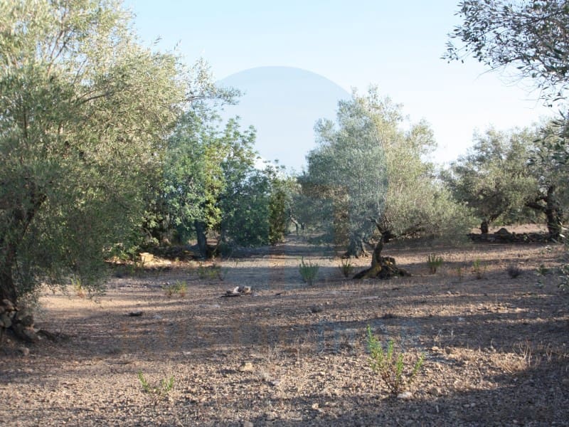1 soveværelse Finca/Landehus til salg i L'Ampolla - € 65.000 (Ref: 9966380)