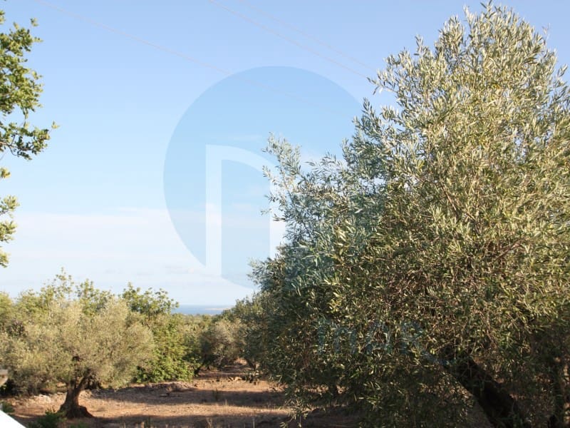 1 soveværelse Finca/Landehus til salg i L'Ampolla - € 65.000 (Ref: 9966380)