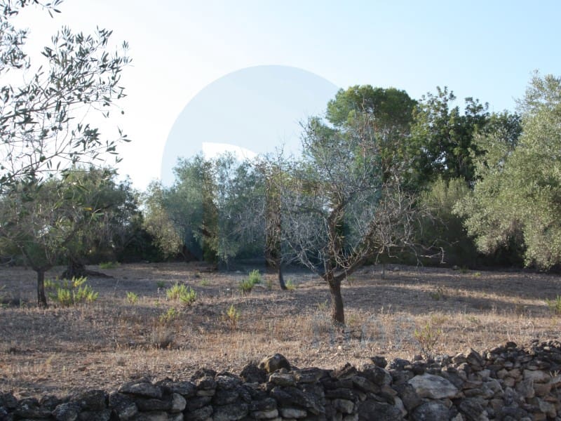 1 soveværelse Finca/Landehus til salg i L'Ampolla - € 65.000 (Ref: 9966380)