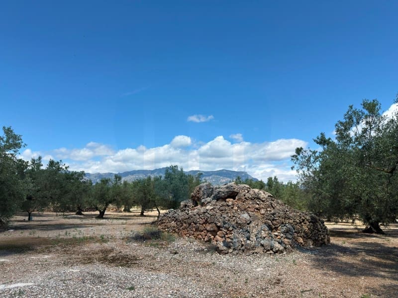 1 soveværelse Finca/Landehus til salg i Mas de Barberans - € 75.000 (Ref: 9966381)