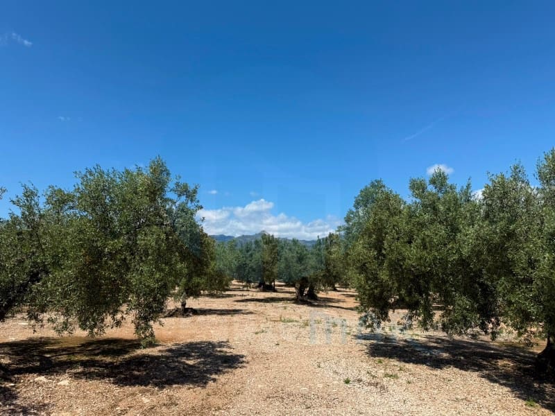 1 soveværelse Finca/Landehus til salg i Mas de Barberans - € 75.000 (Ref: 9966381)
