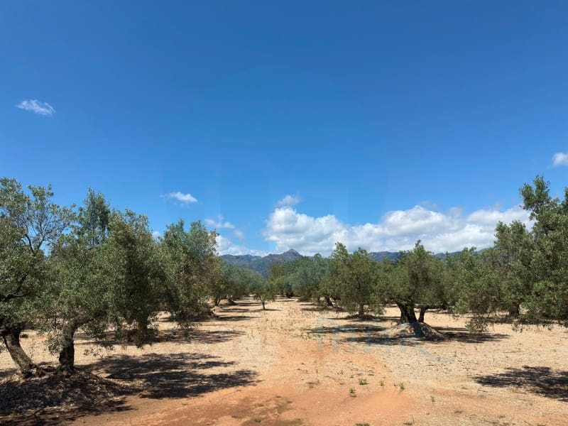 1 soveværelse Finca/Landehus til salg i Mas de Barberans - € 75.000 (Ref: 9966381)