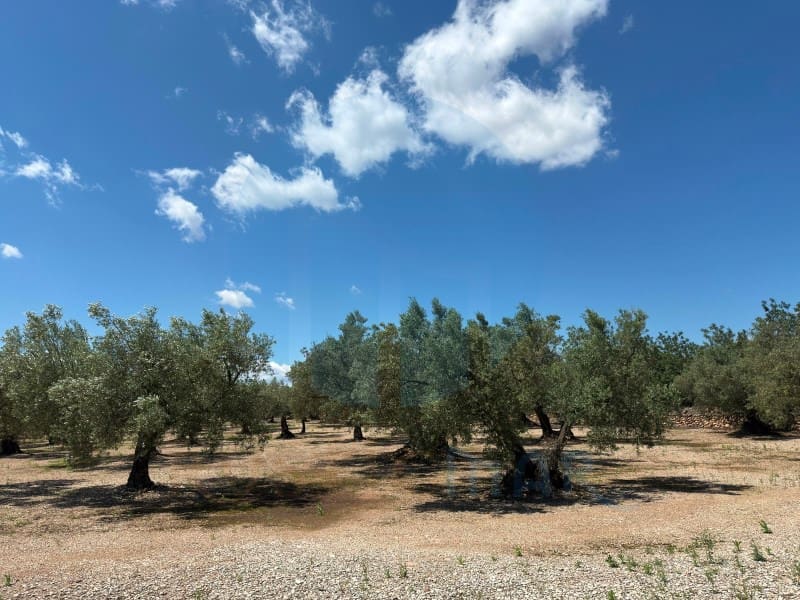 1 soveværelse Finca/Landehus til salg i Mas de Barberans - € 75.000 (Ref: 9966381)