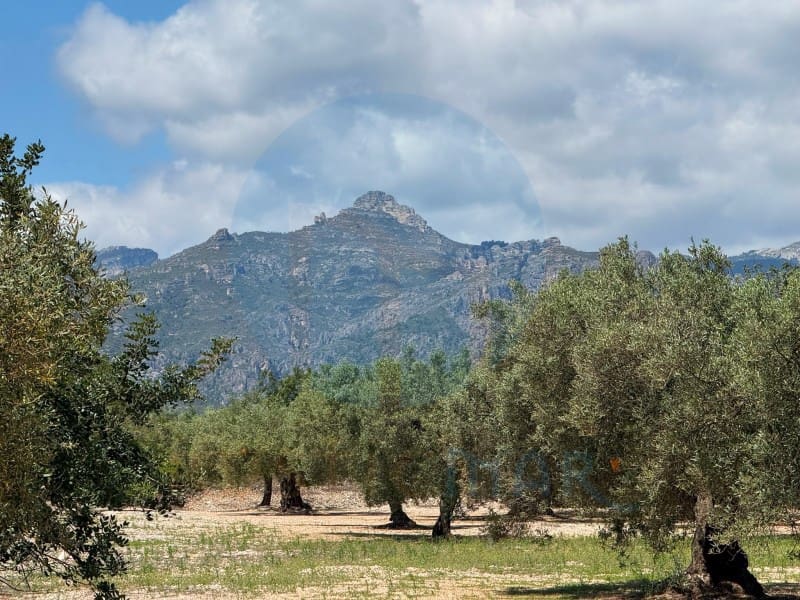 1 soveværelse Finca/Landehus til salg i Mas de Barberans - € 75.000 (Ref: 9966381)