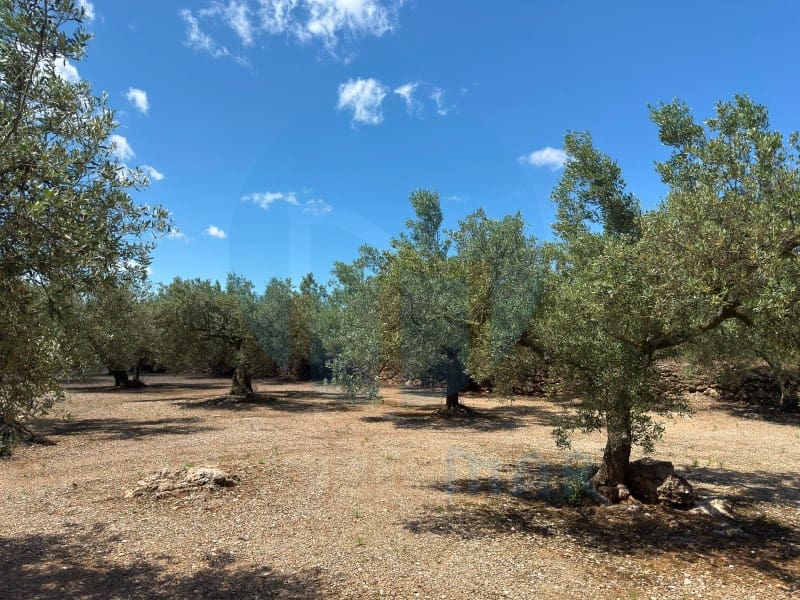 1 soveværelse Finca/Landehus til salg i Mas de Barberans - € 75.000 (Ref: 9966381)