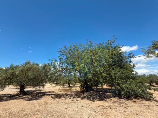 1 soveværelse Finca/Landehus til salg i Mas de Barberans - € 75.000 (Ref: 9966381)