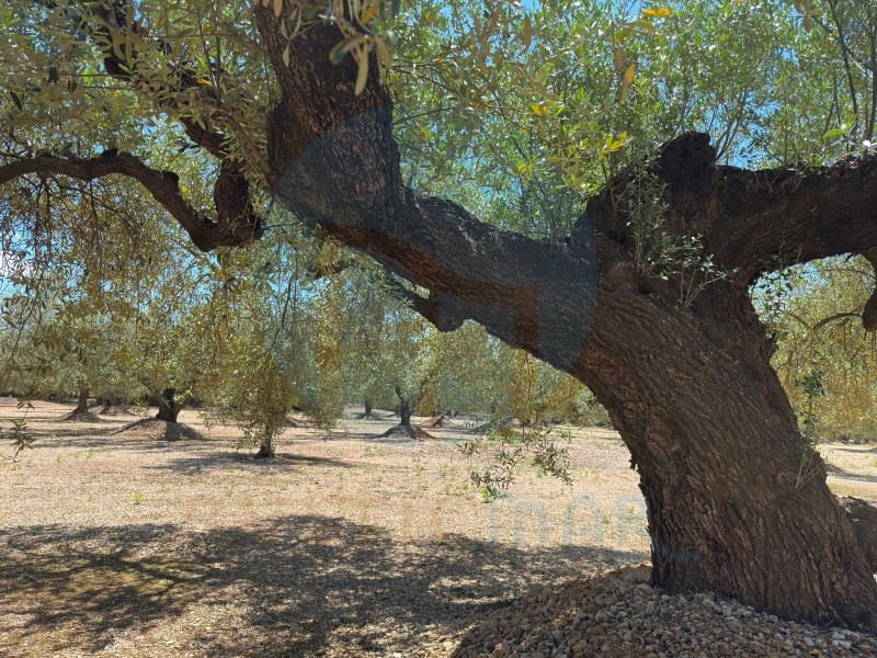 1 soveværelse Finca/Landehus til salg i Mas de Barberans - € 75.000 (Ref: 9966381)