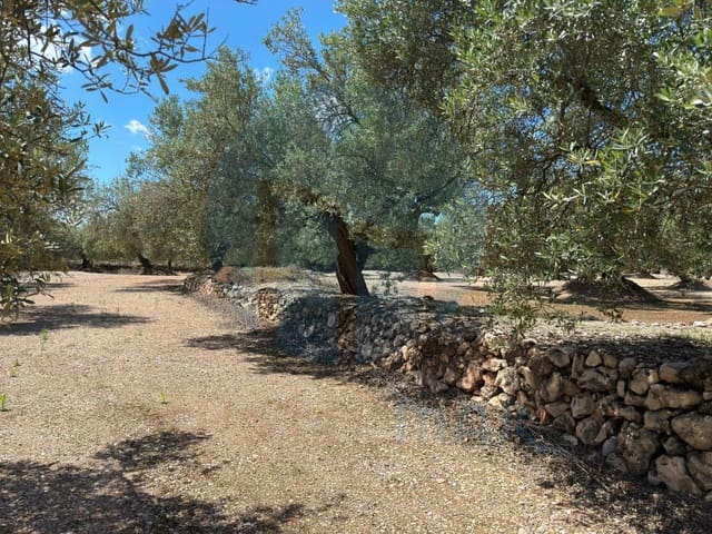 1 soveværelse Finca/Landehus til salg i Mas de Barberans - € 75.000 (Ref: 9966381)