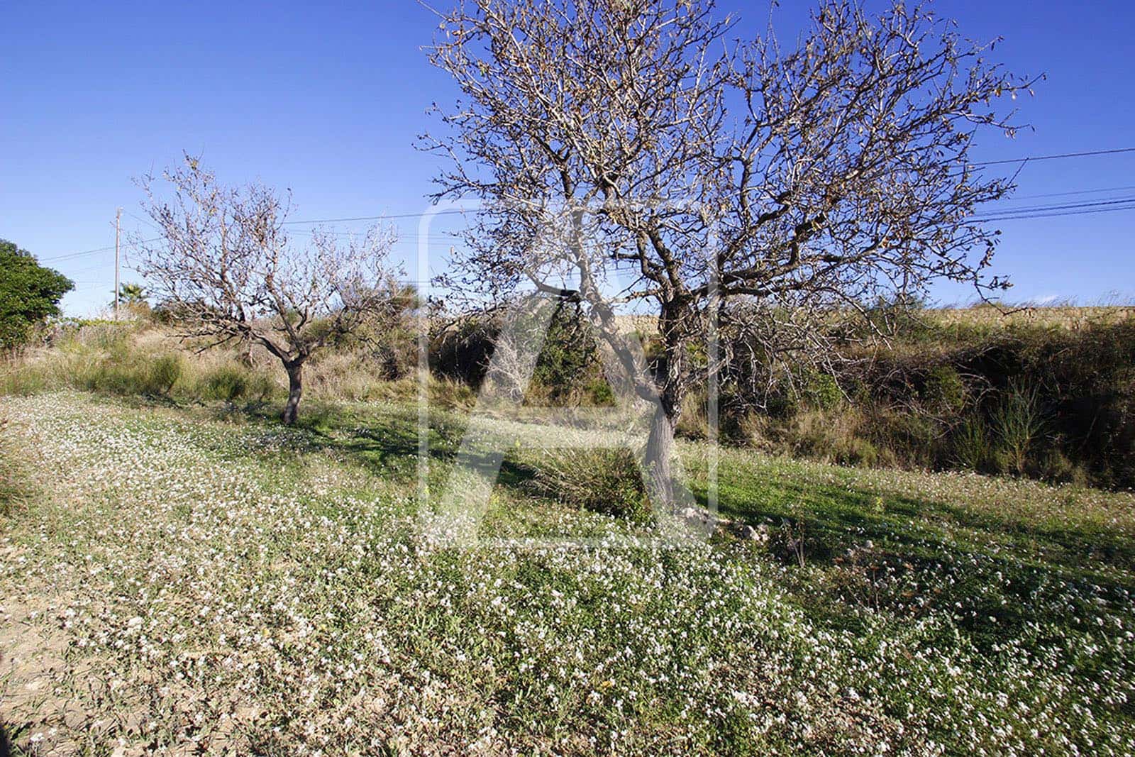 Bouwgrond te koop in Benissa - € 280.000 (Ref: 3665581)