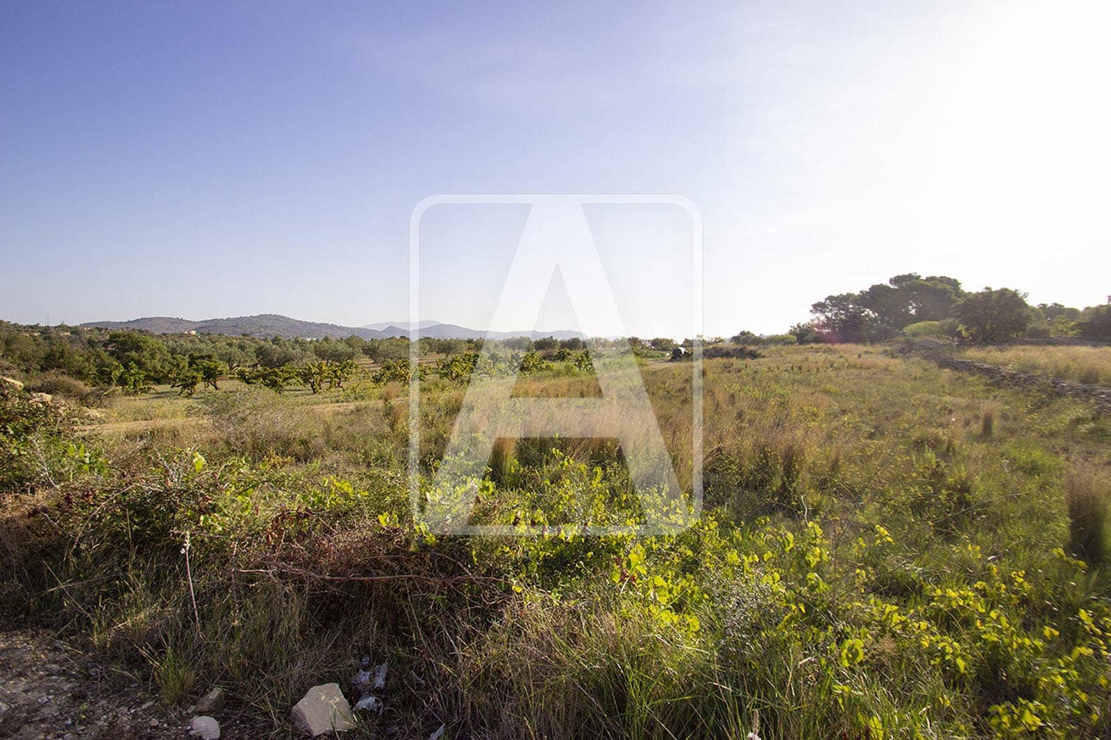 Solar/Parcela en Benissa en venta - 250.000 € (Ref: 4140468)