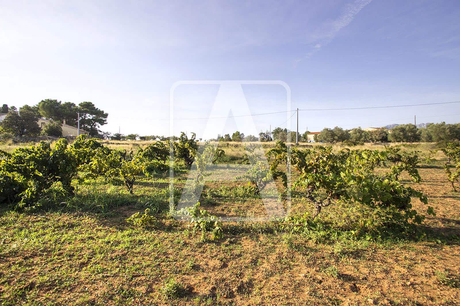 Solar/Parcela en Benissa en venta - 250.000 € (Ref: 4140468)