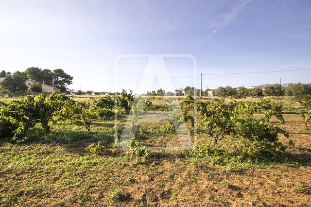 Solar/Parcela en Benissa en venta - 250.000 € (Ref: 4140468)