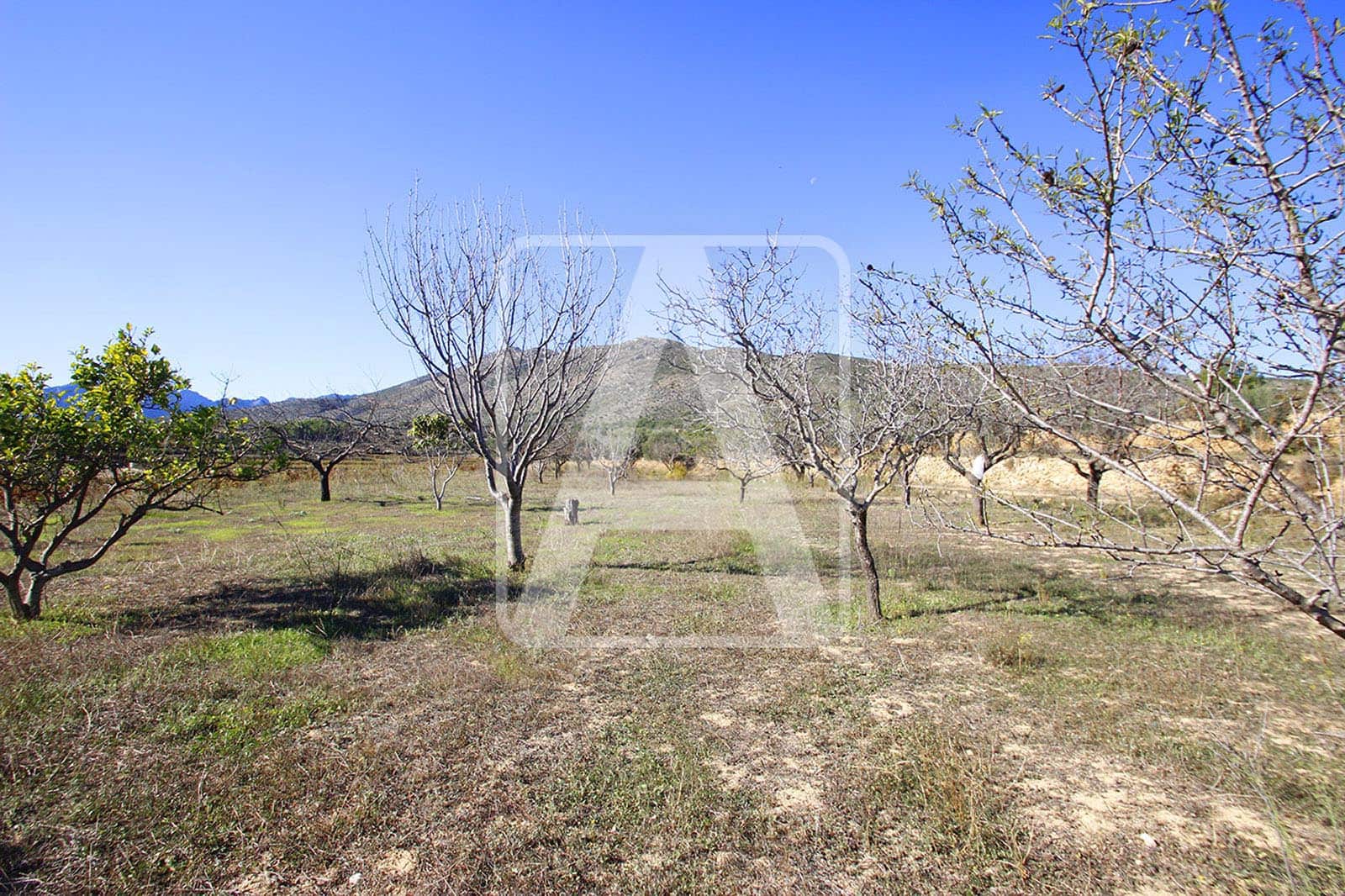 Bouwgrond te koop in Benissa - € 170.000 (Ref: 4924186)