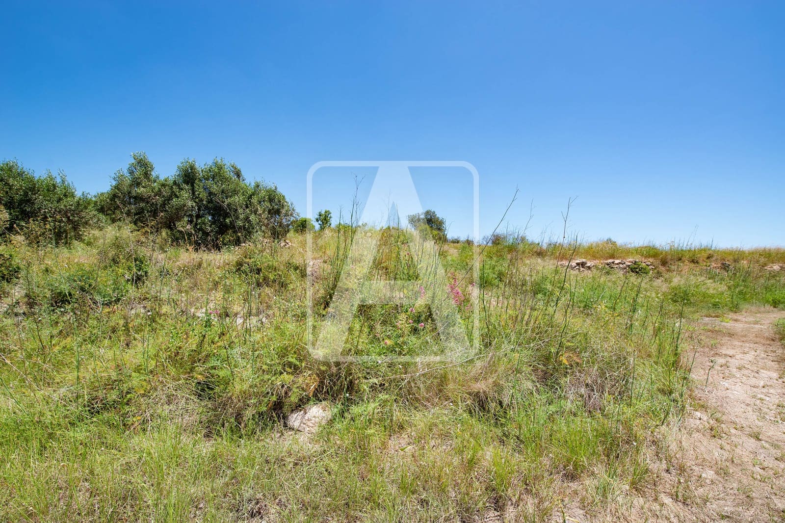 4 camera da letto Finca/Casa di Campagna in vendita in Teulada con piscina garage - 1.795.000 € (Rif: 6910325)