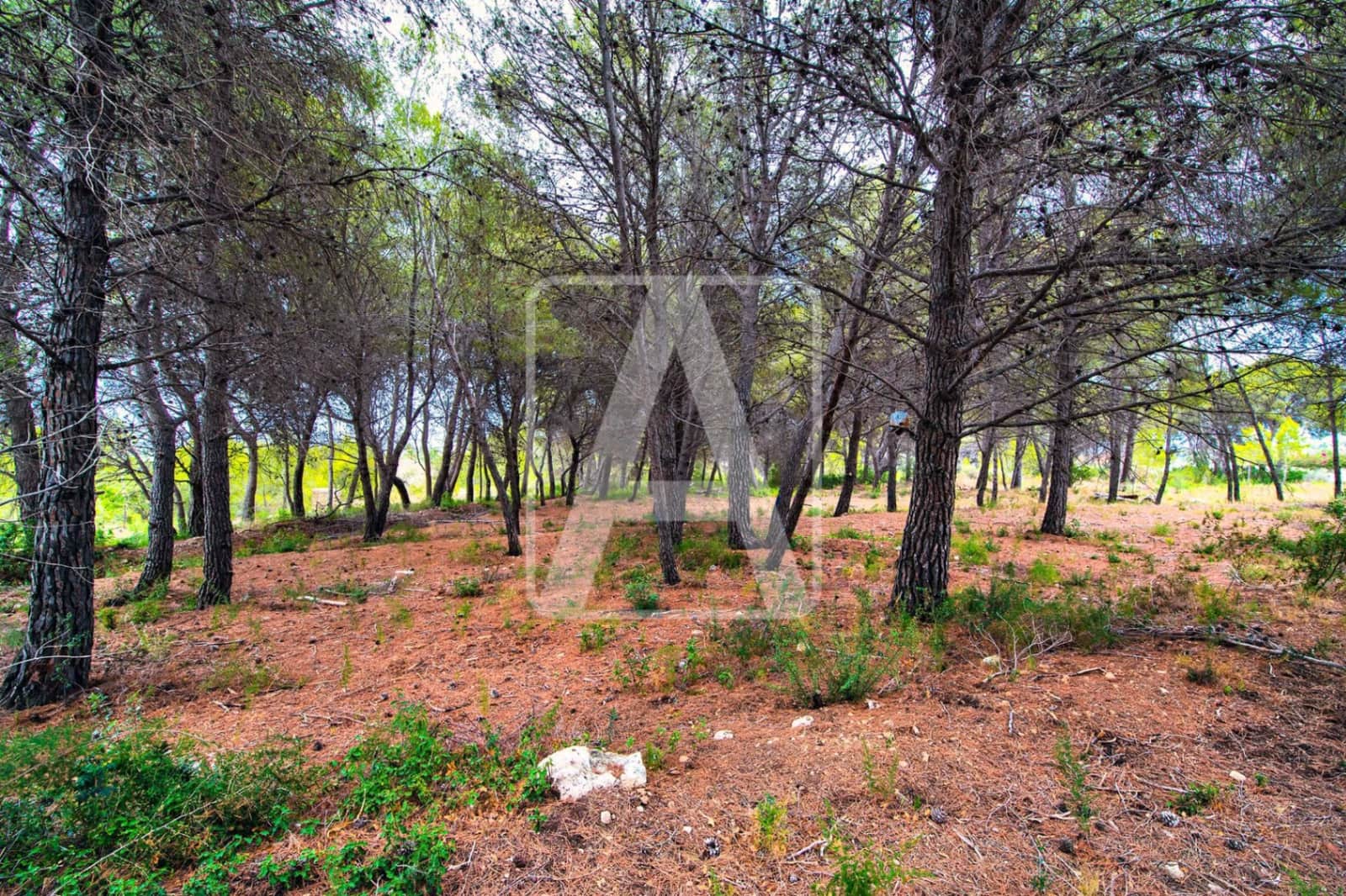 3 Zimmer Villa zu verkaufen in Moraira mit Pool Garage - 1.690.000 € (Ref: 7393539)