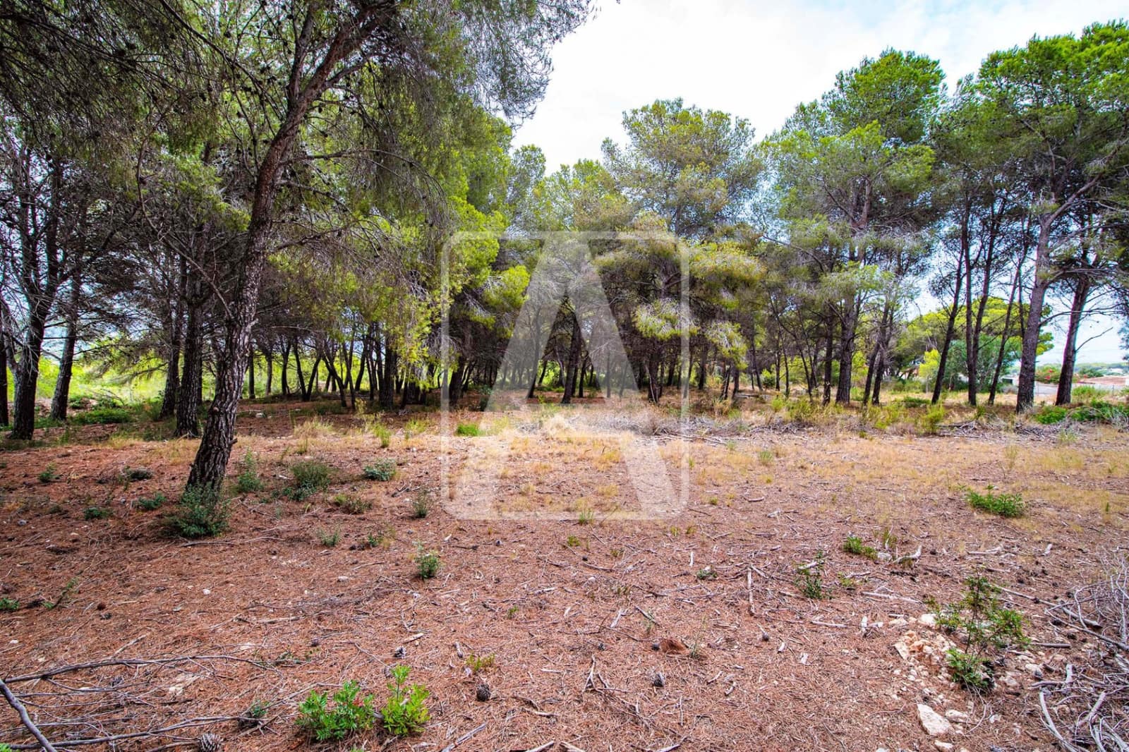 3 slaapkamer Villa te koop in Moraira met zwembad garage - € 1.690.000 (Ref: 7393540)