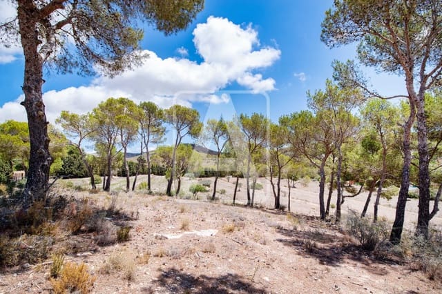 Tontti myytävänä paikassa Calpe / Calp - 1 600 000 € (Ref: 8389909)