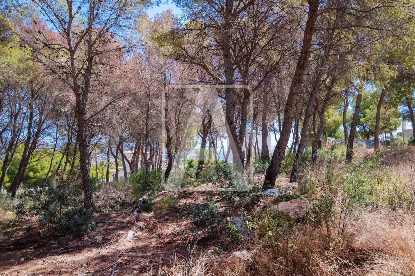 Byggetomt til salgs i Moraira - € 421 000 (Ref: 8484228)