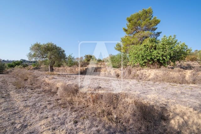 Tontti myytävänä paikassa Benissa - 175 000 € (Ref: 8484230)