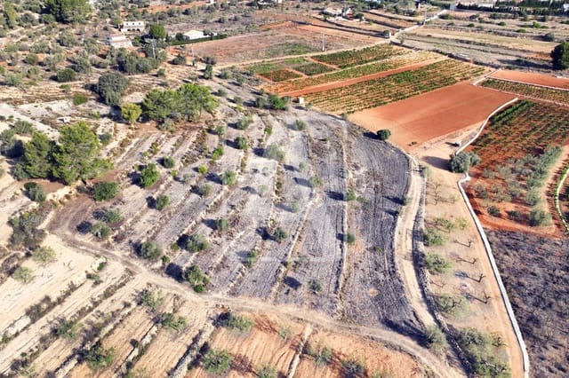 Tontti myytävänä paikassa Benissa - 175 000 € (Ref: 8484230)