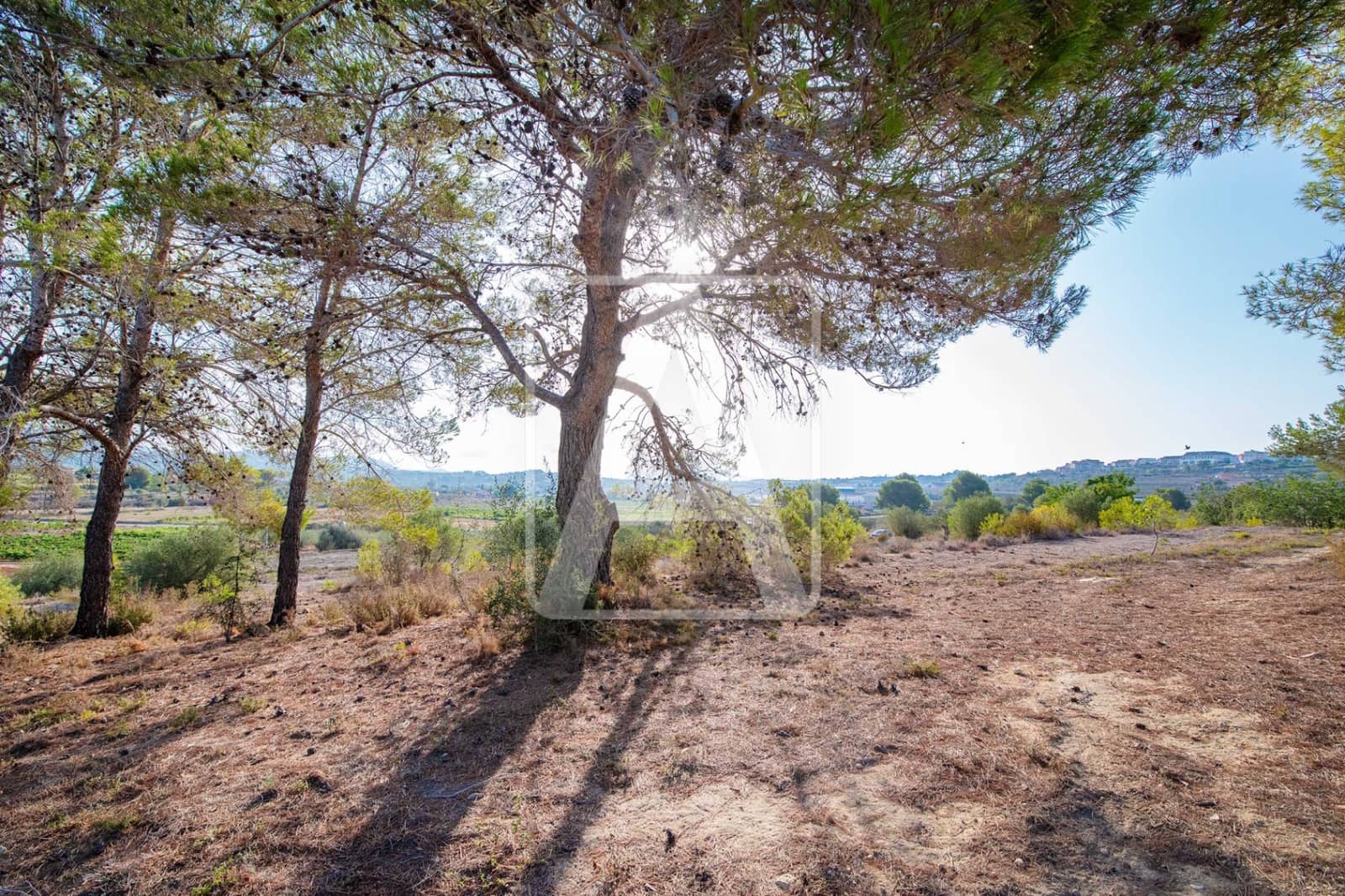 Tontti myytävänä paikassa Benissa - 175 000 € (Ref: 8484230)