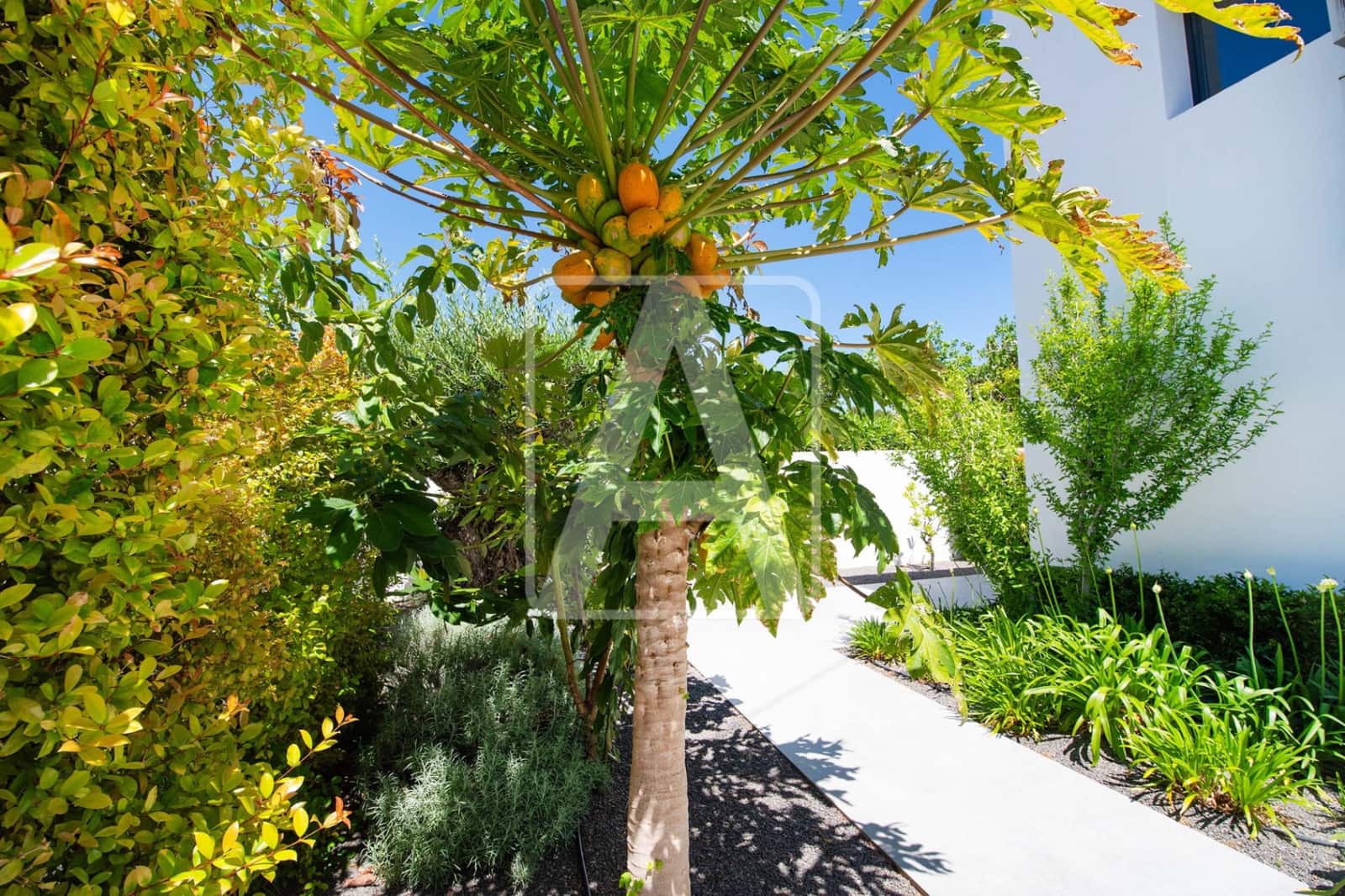 6 sypialnia Willa na sprzedaż w Benissa z basenem garażem - 950 000 € (Ref: 9013543)