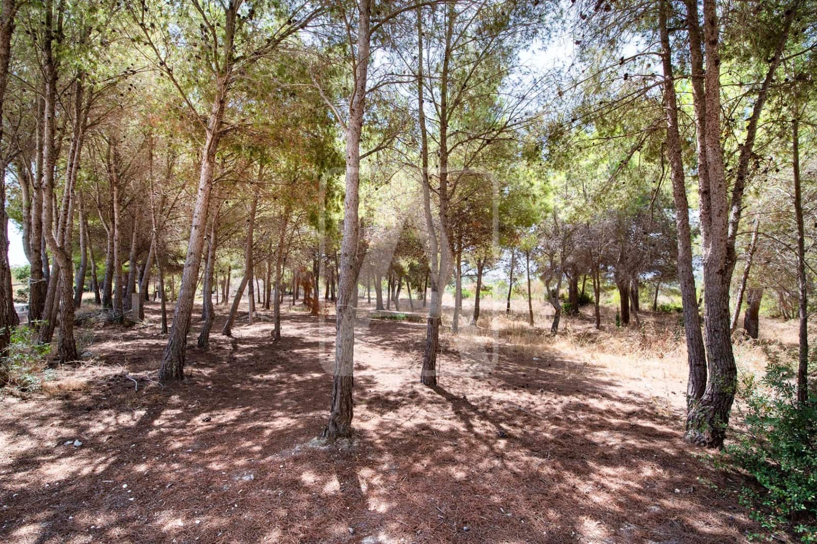 Building Plot for sale in Calpe / Calp - € 1,100,000 (Ref: 9106100)