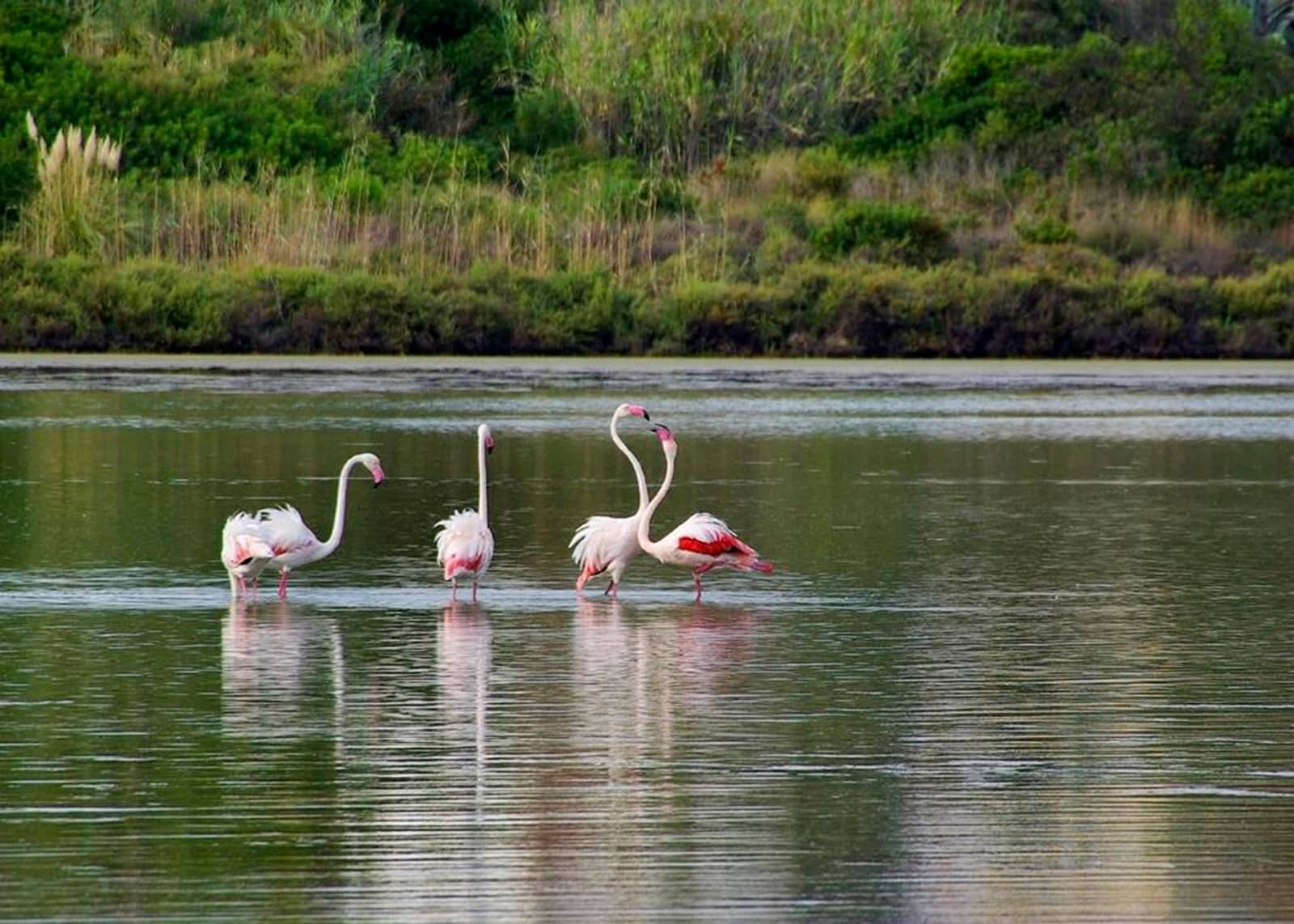 3 bedroom Villa for sale in Calpe / Calp with pool garage - € 1,190,000 (Ref: 9133793)