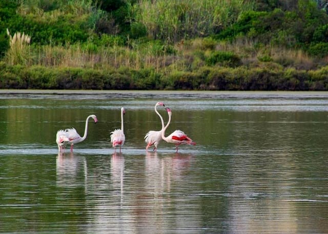 3 slaapkamer Villa te koop in Calpe / Calp met zwembad garage - € 1.190.000 (Ref: 9133793)