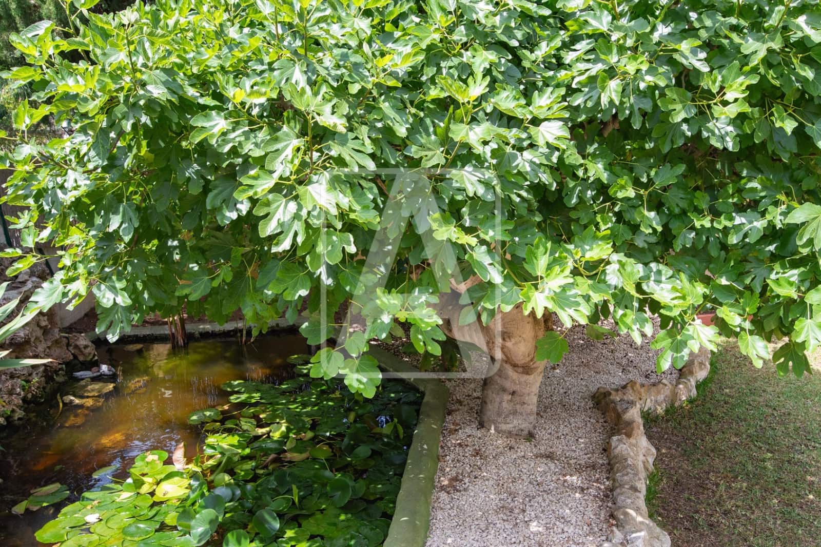 4 camera da letto Villa in vendita in Benissa con piscina garage - 675.000 € (Rif: 9228057)