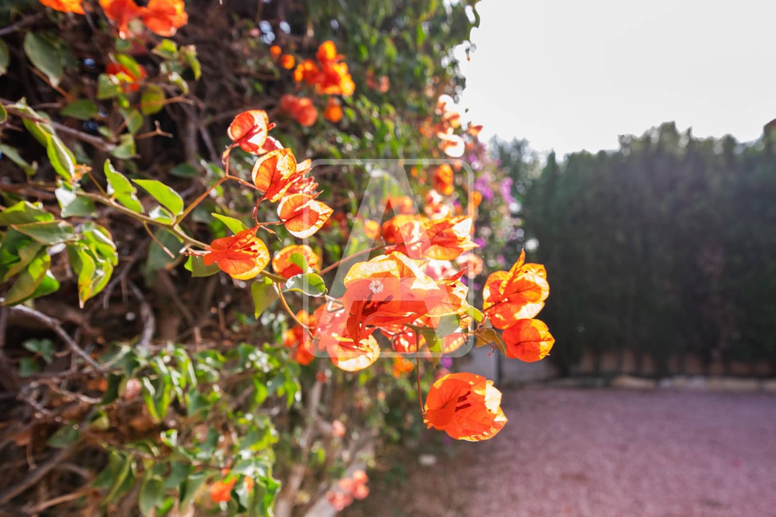 2 chambre Villa/Maison à vendre à Calpe / Calp avec piscine garage - 449 000 € (Ref: 9450384)