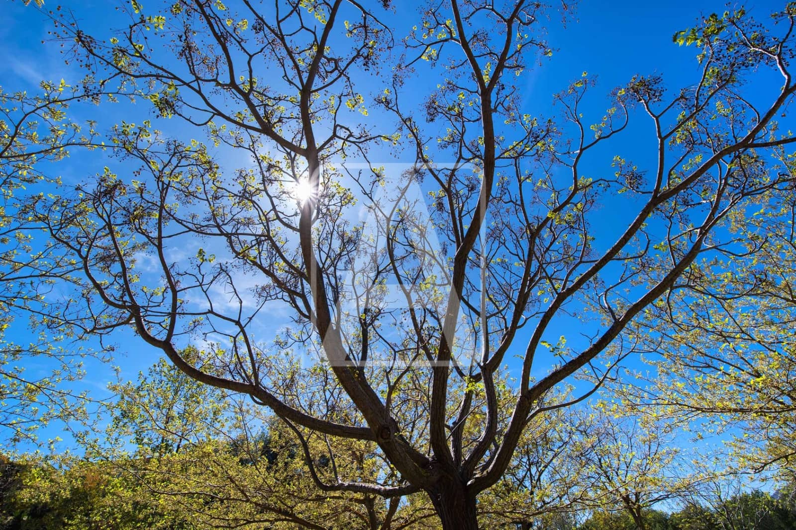 3 slaapkamer Rijtjeshuis te koop in Calpe / Calp met zwembad garage - € 340.000 (Ref: 9734109)