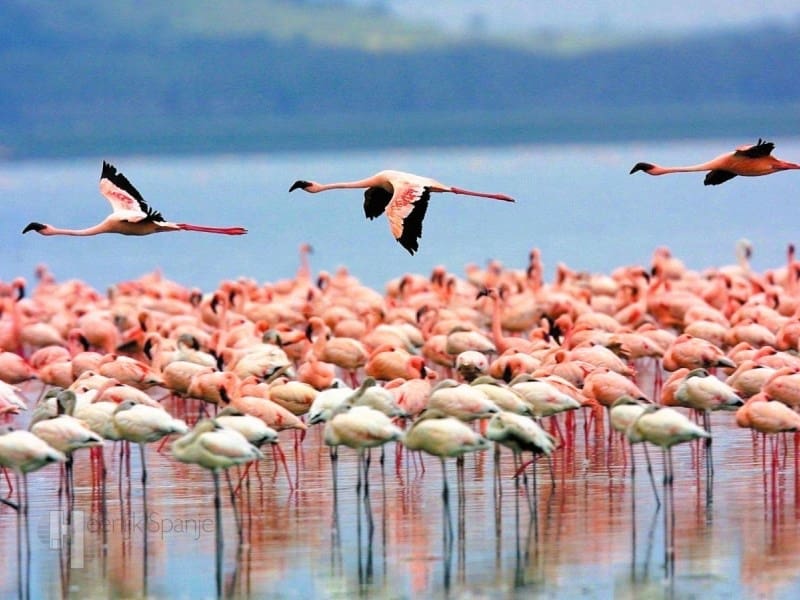 3 sypialnia Dom blizniak na sprzedaż w Santiago de la Ribera - 449 000 € (Ref: 9793328)