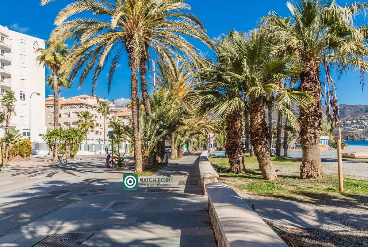 Apartamento de 1 habitación en Almuñécar en alquiler - 650 € (Ref: 8476382)