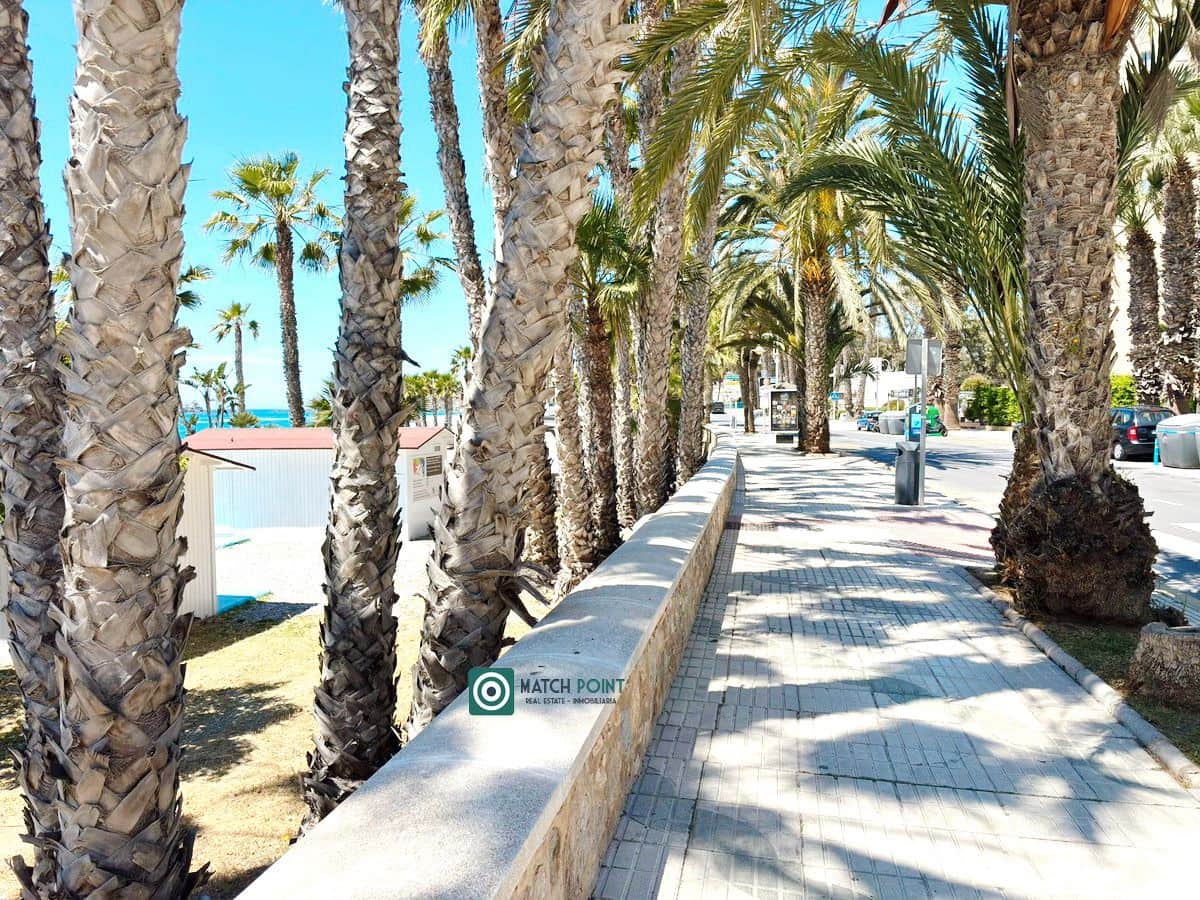 1 slaapkamer Flat te huur in Almunecar - € 575 (Ref: 9370333)