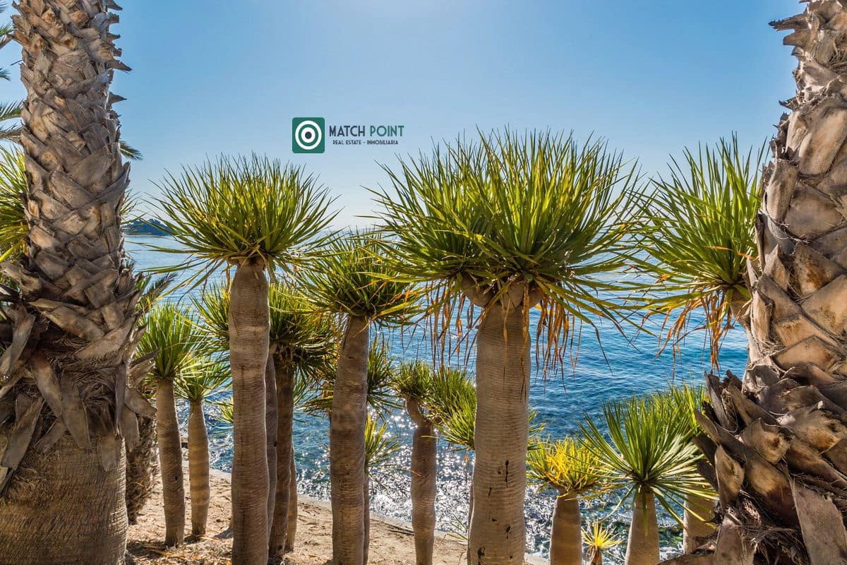 1 quarto Apartamento para arrendar em Almunecar - 1 200 € (Ref: 9424020)