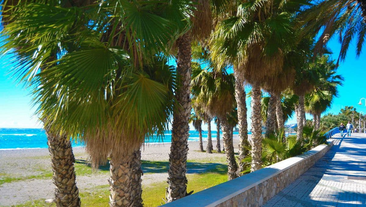 3 makuuhuone Asunto vuokrattavana paikassa Almunecar - 1 150 € (Ref: 9450867)