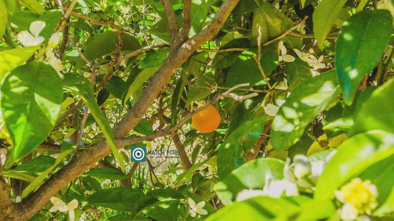 4 soveværelse Villa til salg i Almunecar - € 1.180.000 (Ref: 9747278)