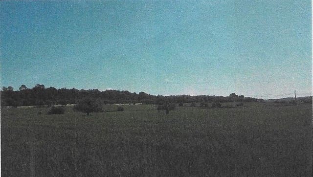 Finca/Hus på landet till salu i Sant Joan - 140 000 € (Ref: 2544621)