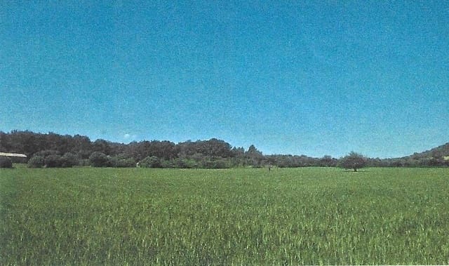 Finca/Hus på landet till salu i Sant Joan - 140 000 € (Ref: 2544621)